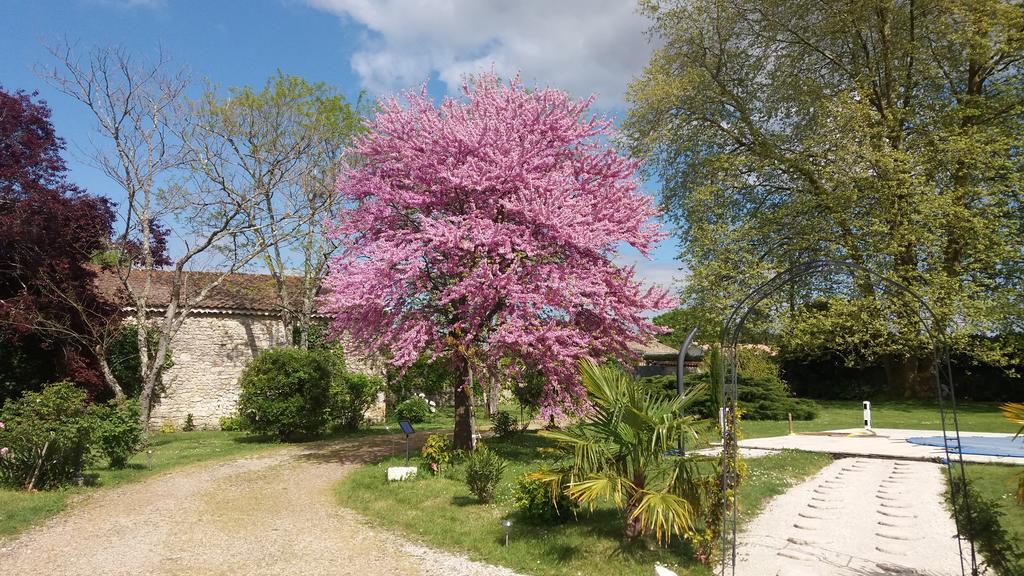 Domaine Du Papillon Bed & Breakfast เลส์ปาร์-เมดอค ภายนอก รูปภาพ